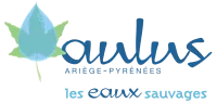 aulus-logo