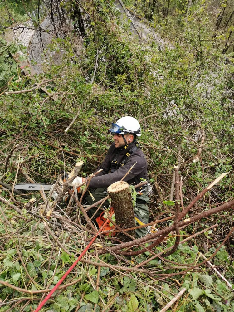 Tronçonnage en rivière à Saint-Jean-de-Verges