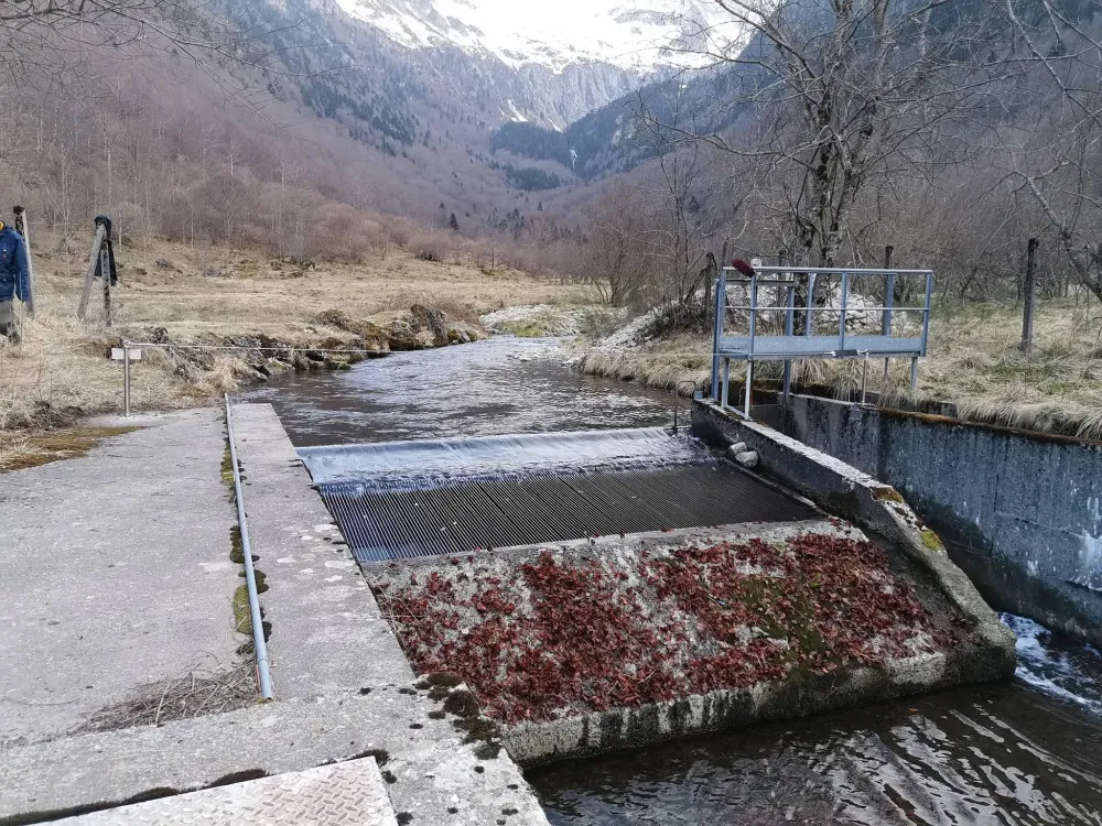 Dépollution de cours d'eau à Saint-Jean-de-Verges